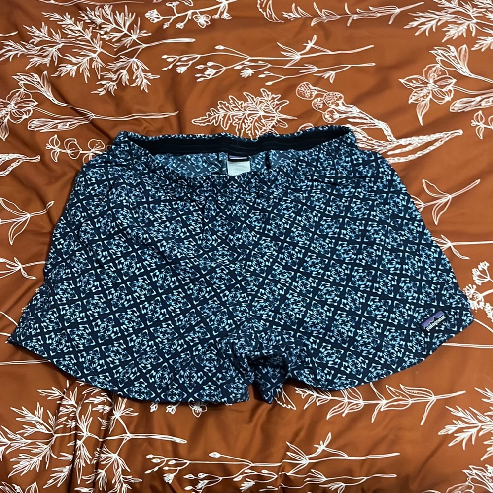 Patagonia Baggies shorts